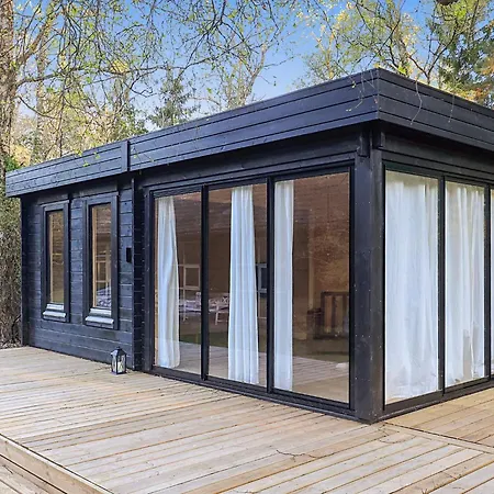 5 Star In